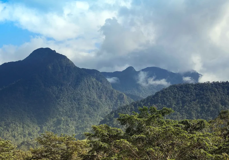 Parque Nacional Pico Bonito